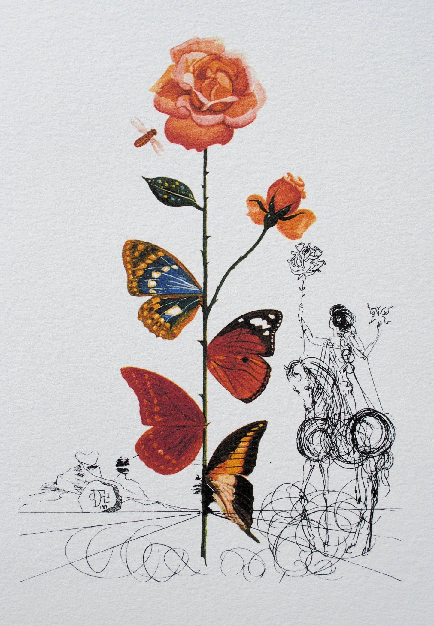 Salvador Dali/Butterfly Rosa //Canvas Print/Art/Home Decor/New/Gift/Reproduction/.