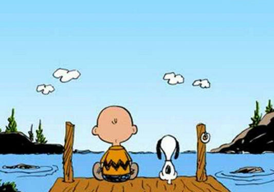You’re A Good Man, Charlie Brown/Canvas Print/Art/Home Decor/New/Gift/Reproduction/.